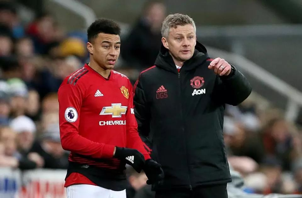 过于追求快 过于追求快