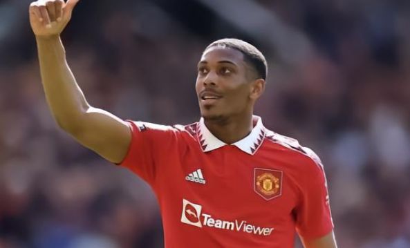 蜂产品加工 蜂产品加工