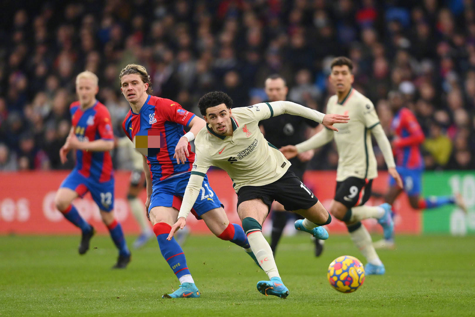 界杯冠軍的 界杯冠軍的